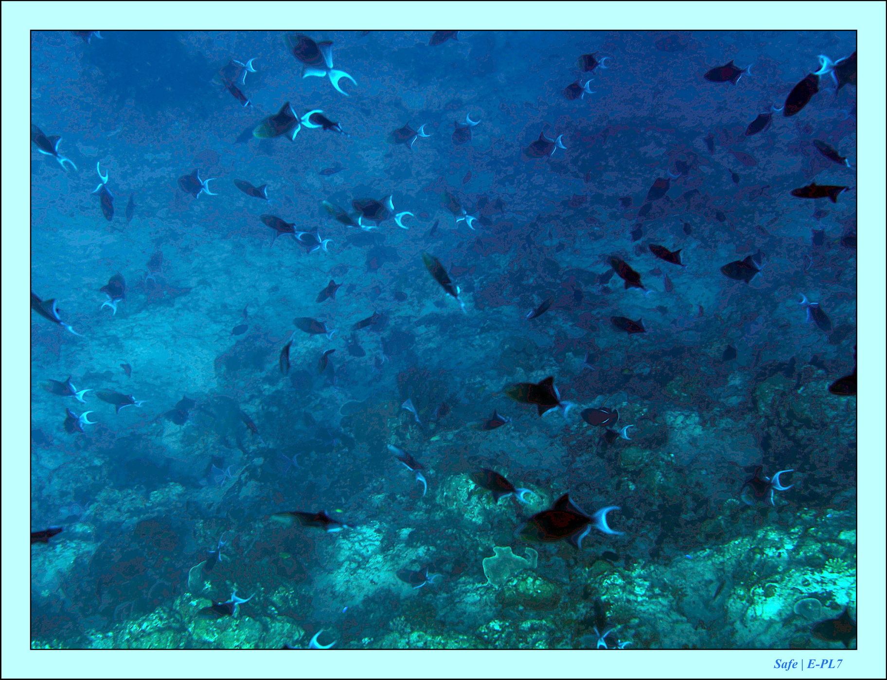 2023 - 07 - Sandies Bathala - 120